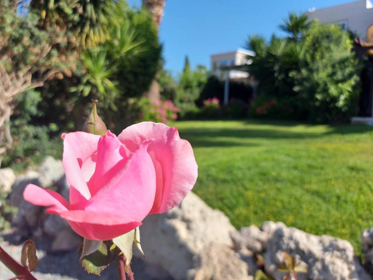 Coral Bay Suite Cyprus Bagian luar foto