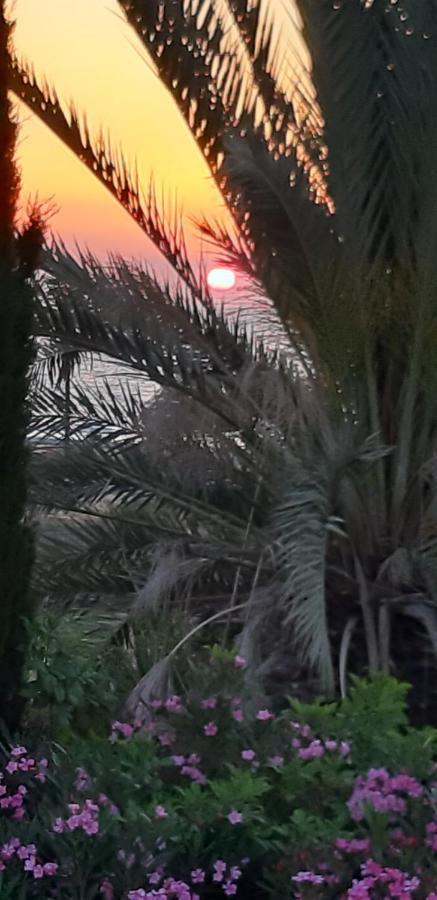 Coral Bay Suite Cyprus Bagian luar foto
